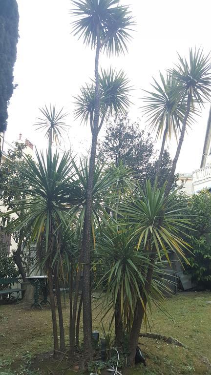Guest house Royal